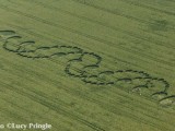 1996-06-17- Alton Barnes, Wiltshire 01