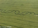 1996-06-17- Alton Barnes, Wiltshire 02