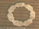 1998-08-09- Tawsmead Copse, nr West Stowell, Wiltshire