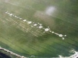 1999-06-12- East Field, Alton Barnes, Wiltshire 03