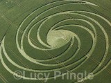 1999-07-03- Hackpen Hill, Wiltshire 04