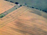 2002-07-06- Pewsey, Wiltshire 03