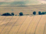 2002-07-22- South Field, Alton Barnes, Wiltshire 04