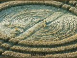 2002-08-12- Alton Barnes, Wiltshire 04