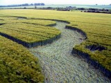 2003-06-07- Beckhampton, Avebury Trusloe, Wiltshire 03
