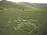 2003-06-17- Milk Hill, Alton Barnes, Wiltshire 04