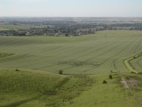 2003-06-17- Milk Hill, Alton Barnes, Wiltshire 05