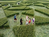 2003-07-06- Green Street, Avebury, Wiltshire 06