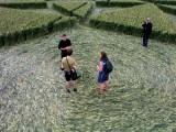 2003-07-06- Green Street, Avebury, Wiltshire 09