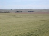 2003-07-06- Green Street, Avebury, Wiltshire 10
