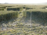 2003-07-06- Green Street, Avebury, Wiltshire 12