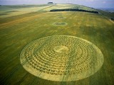 2003-07-06- North Down, nr Beckhampton, Wiltshire 01