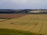 2003-07-20- Hackpen Hill, Wiltshire 05