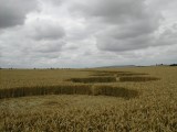 2003-07-20- Hackpen Hill, Wiltshire 09