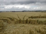 2003-07-20- Hackpen Hill, Wiltshire 13
