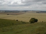 2003-07-20- Hackpen hill, Wiltshire 08