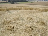 2003-07-22- Froxfield, Wiltshire 03