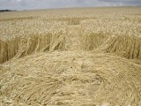 2003-07-22- Froxfield, Wiltshire 04