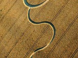 2003-07-27- Woodborough Hill, Wiltshire 01