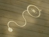 2003-07-27- Woodborough Hill, Wiltshire 04