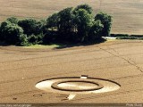 2003-07-31- West Overton, Wiltshire 04