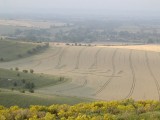 2003-08-04- Milk Hill, Adam's Grave, Wiltshire 06