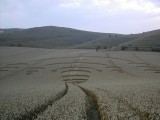 2003-08-04- Milk Hill, Adam's Grave, Wiltshire 08