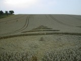 2003-08-04- Milk Hill, Adam's Grave, Wiltshire 09