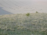 2003-08-04- Milk Hill, Adam's Grave, Wiltshire 11