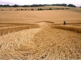 2003-22-07- Tegdown Hill, Patcham, East Sussex 06