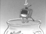Image14 Image14