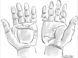 Image7 Image7